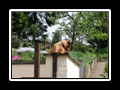 CIMG0132