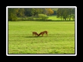 PICT0056