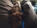 IMG-20131022-WA0009
