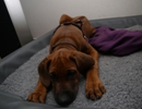 IMG-20131003-WA0006