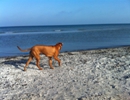 IMG-20140214-WA0009