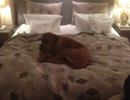 IMG-20131113-WA0006