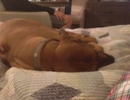 IMG-20131113-WA0007