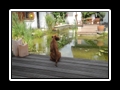Bild+503