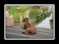 Bild+505