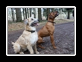 Lucas_und_Jim__(101)