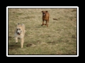 Lucas_und_Jim__(21)