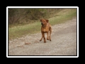 Lucas_und_Jim__(5)