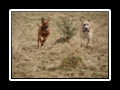 Lucas_und_Jim__(64)