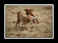 Lucas_und_Jim__(66)