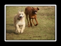 Lucas_und_Jim__(91)