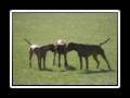 21_03_2011_102_1