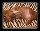IMG_3182