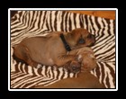IMG_3220