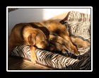 IMG_3245