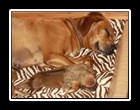 IMG_3307